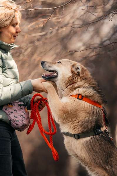 Ищет дом Ромео #ромео_дубоваяроща в Москве фото 42