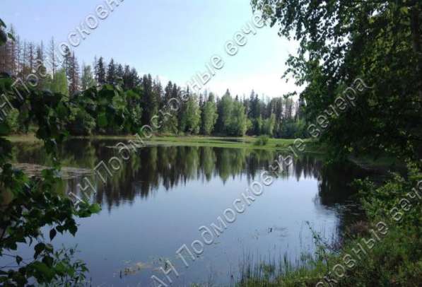 realty_mapper3.plot_in_locationСадовое некоммерческое тов-во. Площадь 18.00 сот.Есть Газ. в Москве фото 14