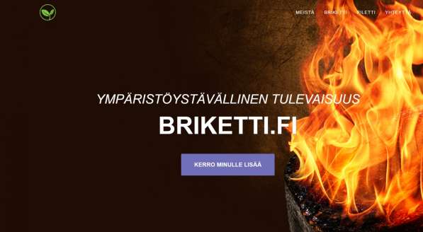 Vaalea Standardi Puubriketti в фото 21