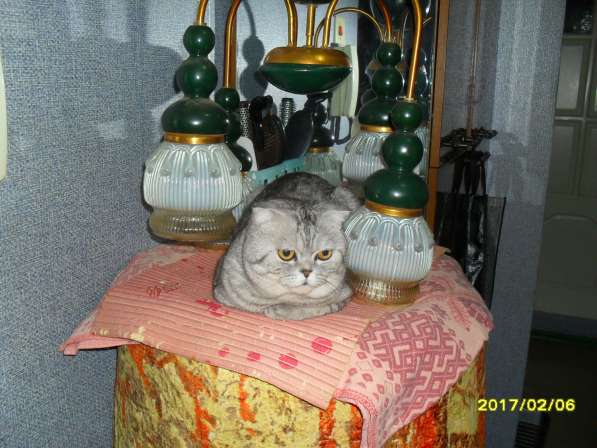 Вязка в Кирове фото 4