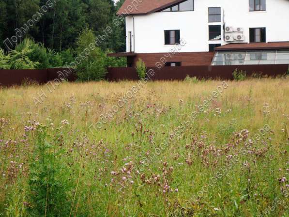 realty_mapper3.plot_in_locationСадовое некоммерческое тов-во. Есть Электричество, Водопровод. в Москве фото 9