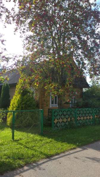 Продам дом с участком в д. Щорсы в фото 3