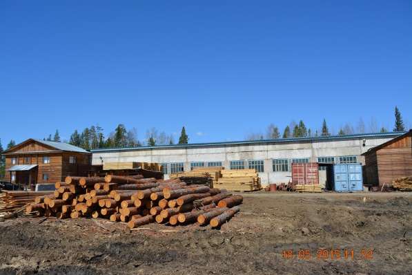 Продается лесопильно-деревообрабатывающий комплекс в Усть-Илимске фото 7