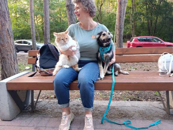 Хорошенький щенок с пушистыми ушками в Санкт-Петербурге фото 4