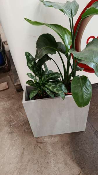 Подставка для цветов в Москве фото 4