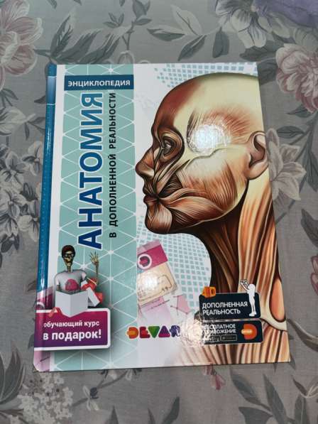 Энциклопедия анатомия