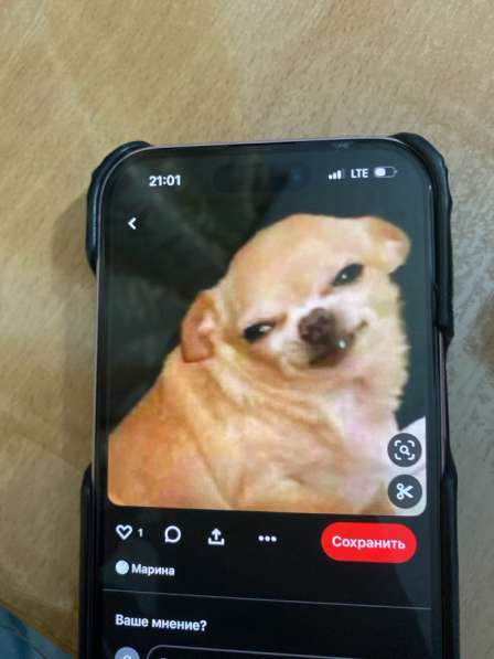 Рисуем собачку в Ставрополе