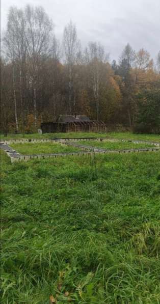 Участок ИЖС с фундаментом в Гаврилов-яме фото 4