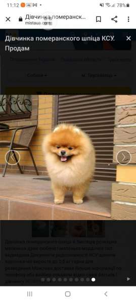 Маленькие живые мишки девочки 3месяца в фото 17