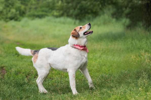 Улыбчивый лучик Фаина ищет семью в Москве фото 21