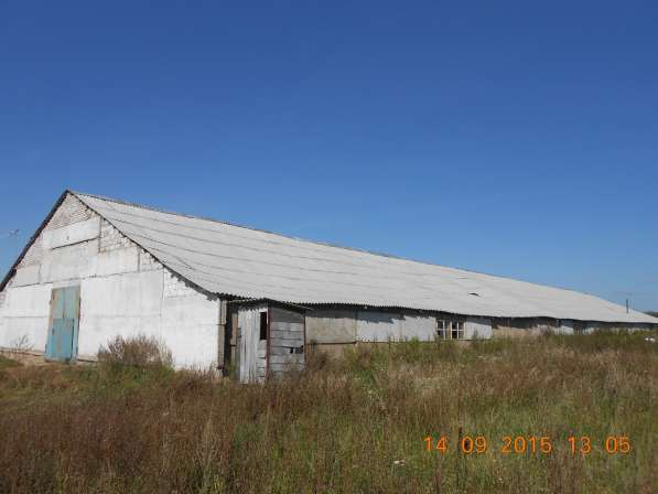 Ферма/ранчо 1600кв. м. на 200голов КРС + 55 соток земли в Уфе фото 4