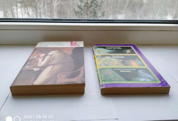 Классическая русская литература в Тюмени фото 11