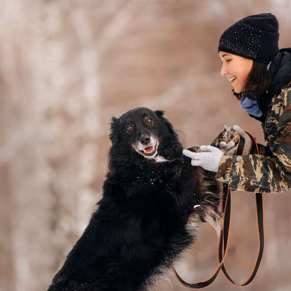 Весёлая, ласковая Чукча ищет семью в Москве фото 76