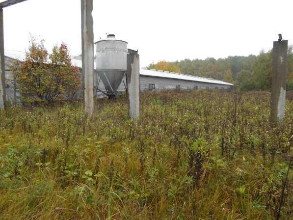 Птицефабрика действующая продажа в Москве фото 3