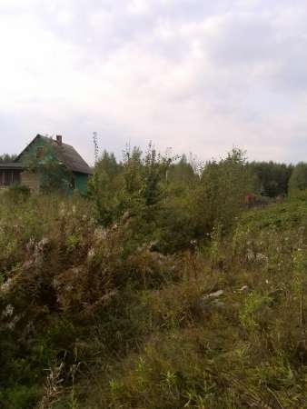 Земельный участок 12 соток в п. Щербаково в Выборге фото 3