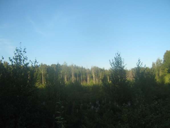 Продаю земельный участок под базу отдыха в Великом Новгороде фото 15