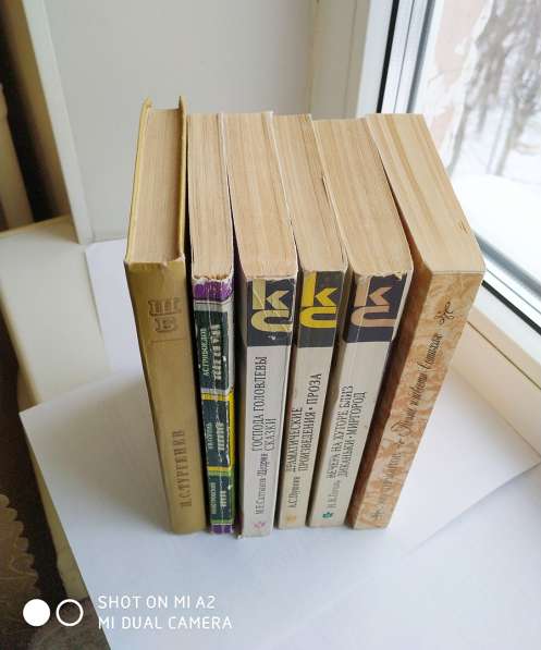 Классическая русская литература в Тюмени фото 5