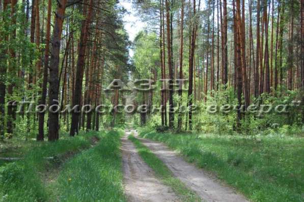 realty_mapper3.plot_in_locationСадовое некоммерческое тов-во. Площадь 20.00 сот.Есть Электричество. в Москве фото 22