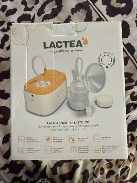 Молокосос в Калининграде фото 4