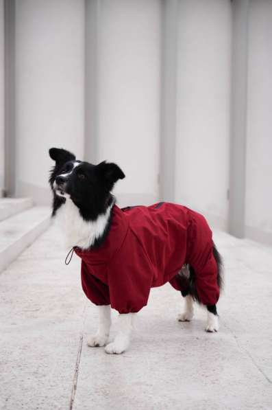 Одежда для собак всех размеров !! в фото 5