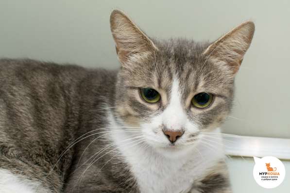 Вы запомните встречу с Алезией в Москве фото 3