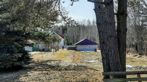 Зимняя дача на берегу живописного озера в Пскове фото 27