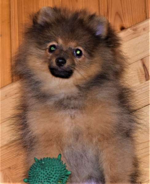 Очаровашка в Одинцово фото 9