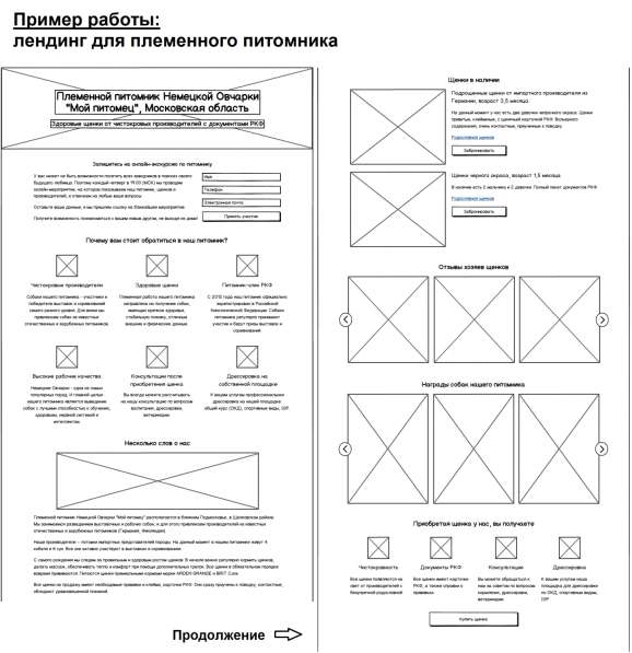 Маркетолог-копирайтер, продающие тексты, лендинги в Москве фото 11