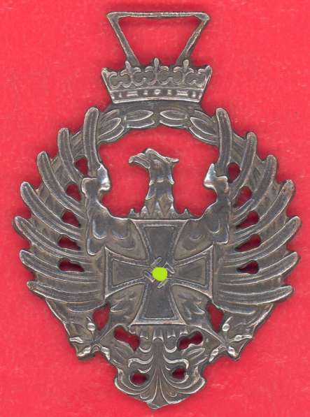 Испания Германия 3 Рейх Медаль Добровольцев Голубая дивизия в Орле фото 4