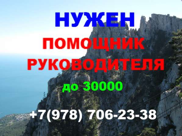 Помощник руководителя оптового направления