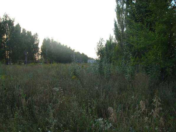 Продам земельный участок в Ульяновске фото 6