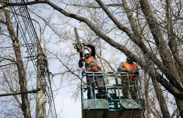Спил деревьев спил удаление вырубка деревьев в Ярославле