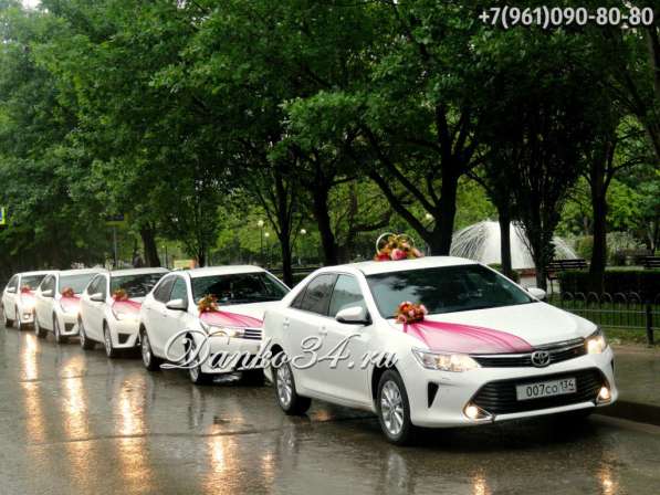 Данко - кортеж - авто на свадьбу, украшения для машин прокат в Волгограде фото 21