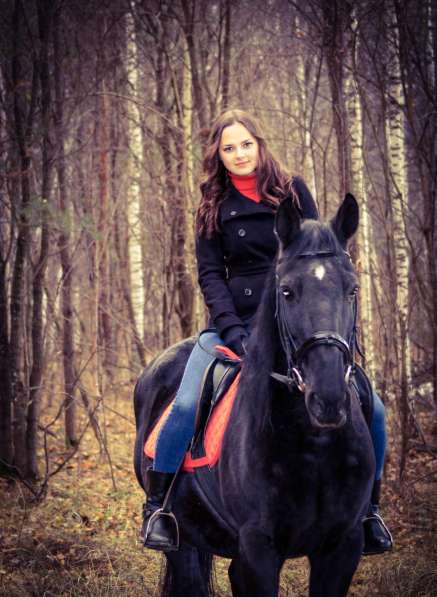 Лесные фотосессии с лошадьми и пони в Екатеринбурге фото 12