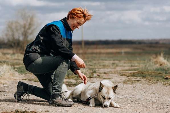 Суперактивная Халва в Москве фото 22