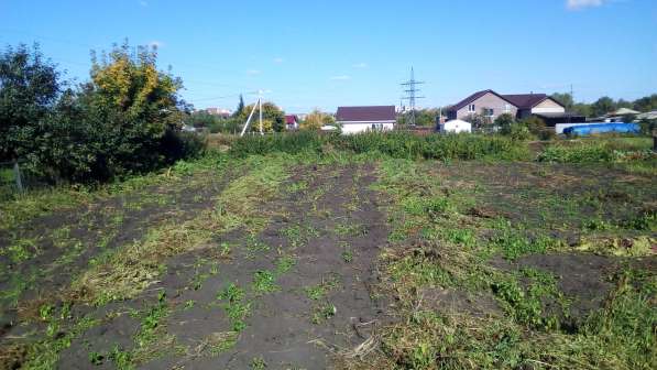 Ищем инвестора в производство природных почвоулучшителей в Кургане