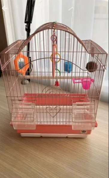 Клетка для волнистого попугая в Новокубанске