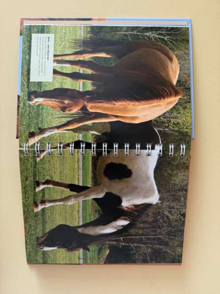 Книга по уходу за лошадьми в Самаре фото 3