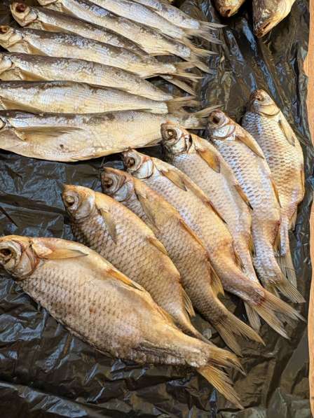 Вяленая рыба вобла, красноперка, щука, судак и др в Москве