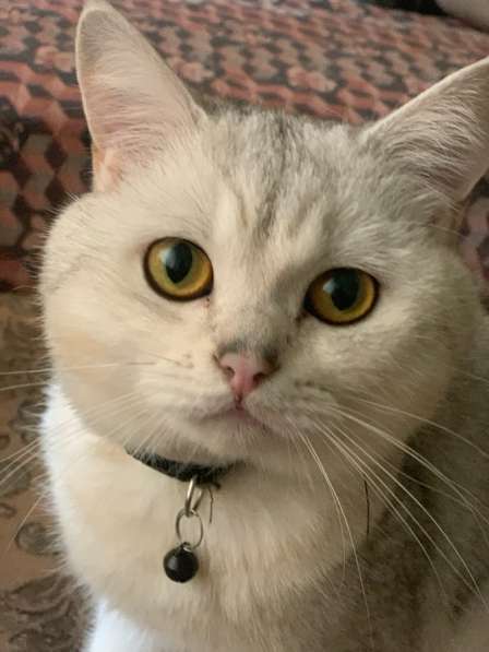 Прохорова,29 в Йошкар-Оле