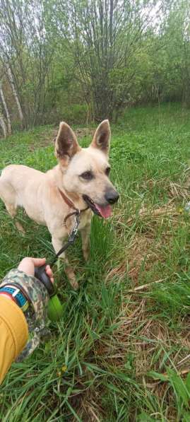 Фаичка ищет дом