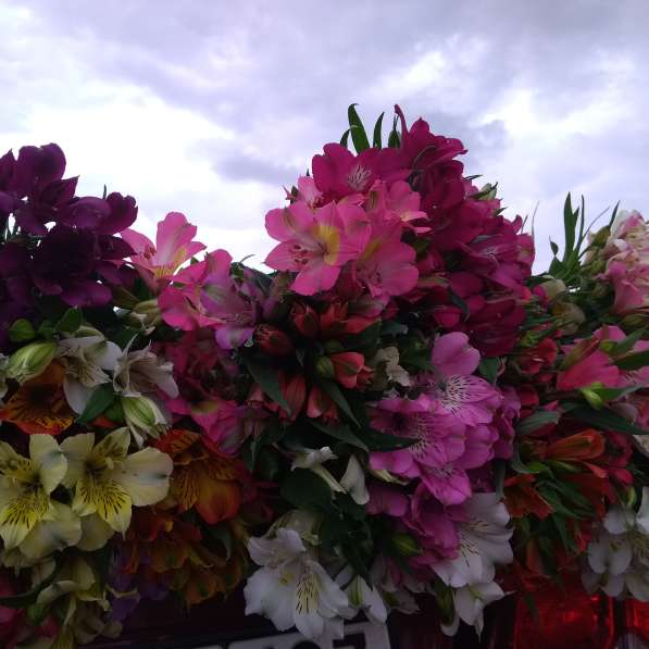 Продаю дом с бизнесом в Краснодаре