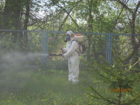 Санобработка от насекомых, грызунов, дезинфекция в Тольятти фото 6