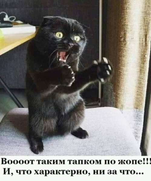 Любые запчасти для любого авто в Бахчисарае