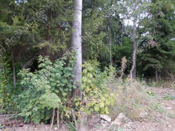 realty_mapper3.plot_in_locationИндивидуальное жилищное ст-во. Площадь 6.00 сот.Есть Газ. в Москве фото 5