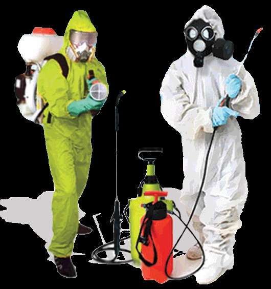 Уничтожение Клопов в Челябинске