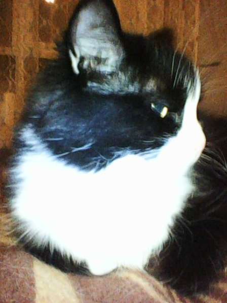 Ищу работу механика, предложенное в Красноярске