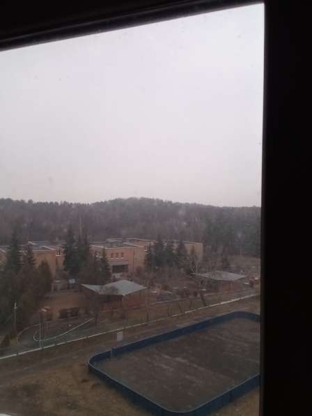 Классная, уютная, толстостенная квартира, био, ЭКО пейзаж в Москве фото 3