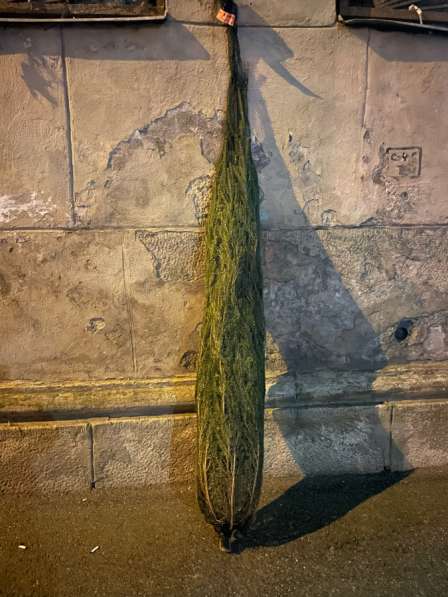 Выгодные товары в Санкт-Петербурге