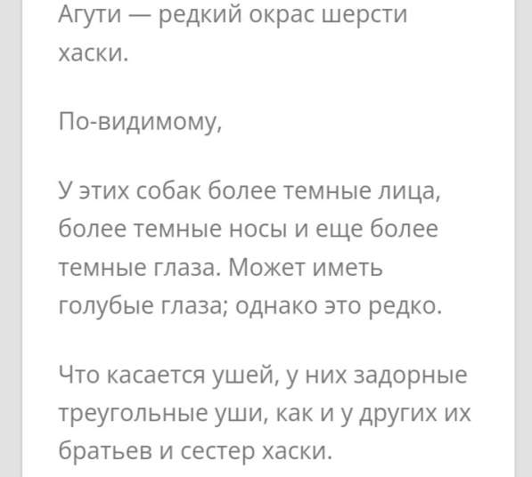 Щенки хаски готовы к переезду 2 месяца в Туле фото 12